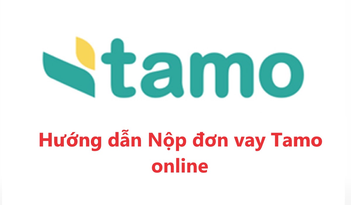 Read more about the article Hướng dẫn Nộp đơn vay Tamo – 2 Cách gia hạn khoản vay Tamo