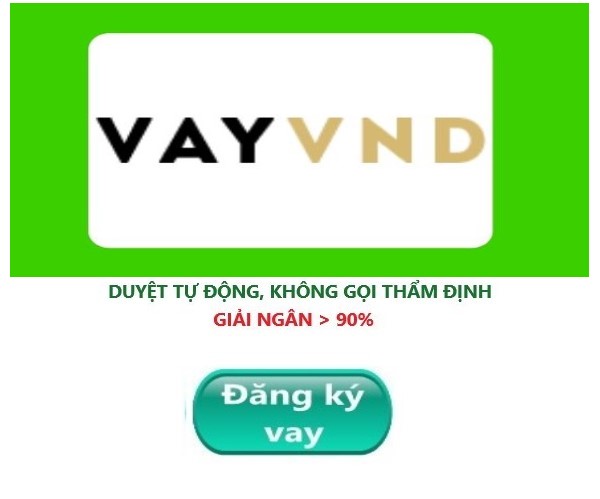 vay tien online